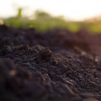 Gazon CEP Drummond, vente de terre végétale, compost et engrais